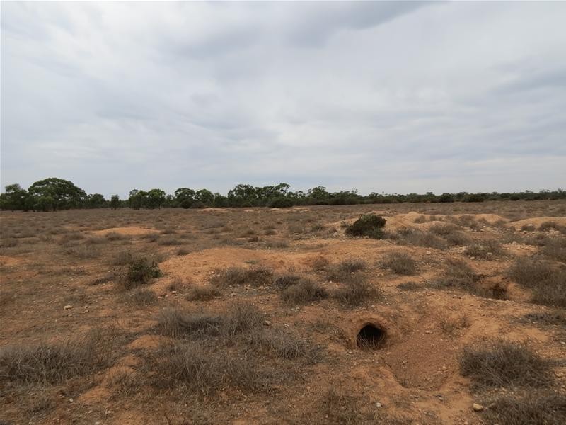 Lot 2 Sperling Road, Annadale SA 5356