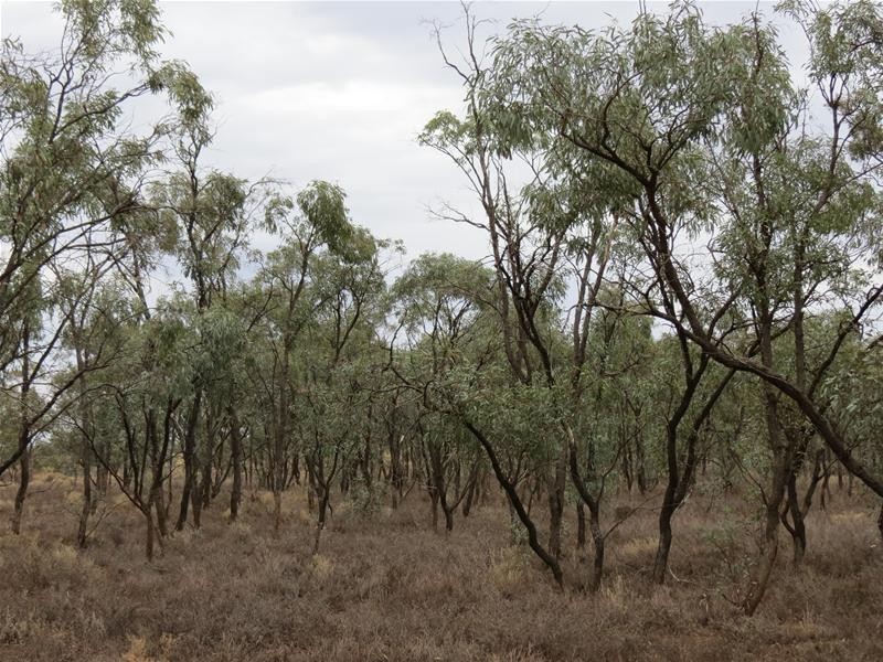 Lot 2 Sperling Road, Annadale SA 5356