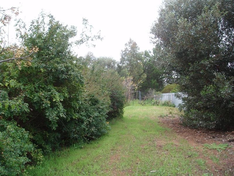 4 Phillip Avenue, Swan Reach SA 5354