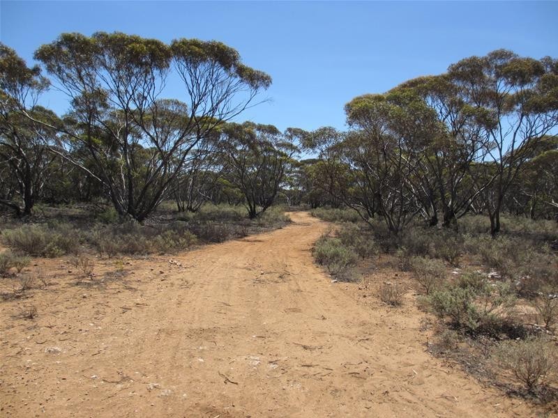 Section 47 Sleeper Track Road, Swan Reach SA 5354