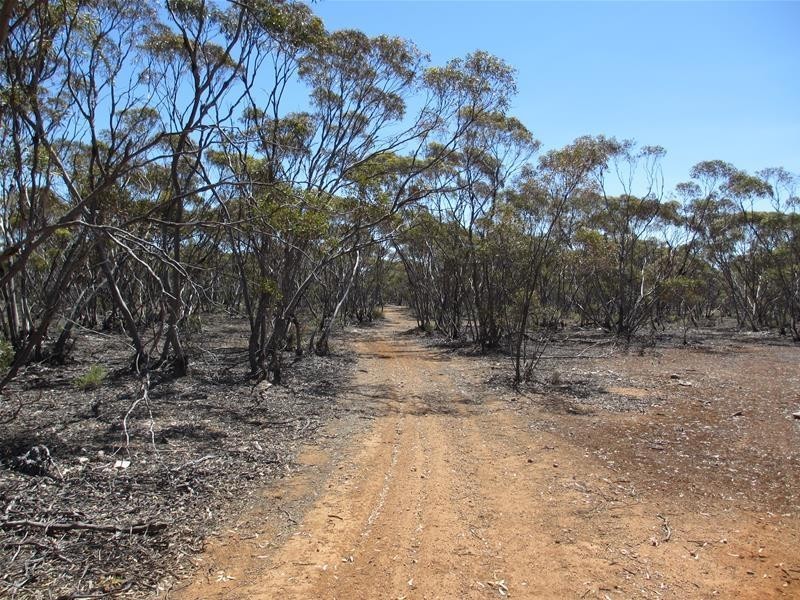 Section 47 Sleeper Track Road, Swan Reach SA 5354