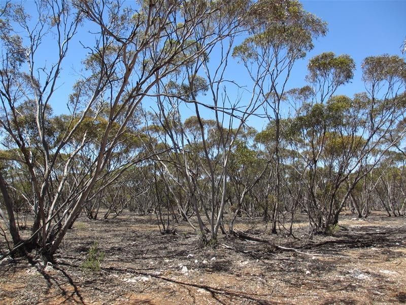 Section 47 Sleeper Track Road, Swan Reach SA 5354