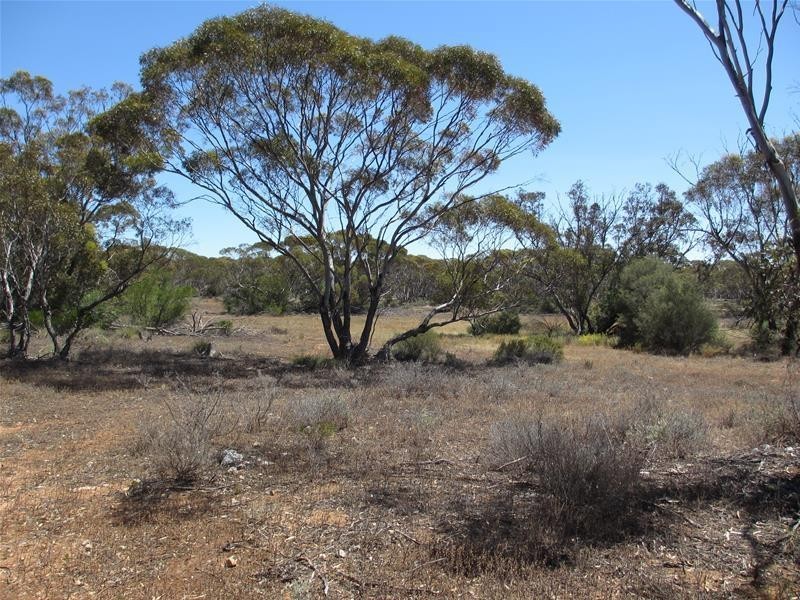 Section 47 Sleeper Track Road, Swan Reach SA 5354