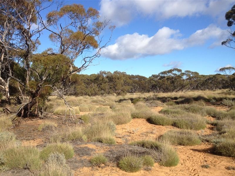 Section 47 Sleeper Track Road, Swan Reach SA 5354