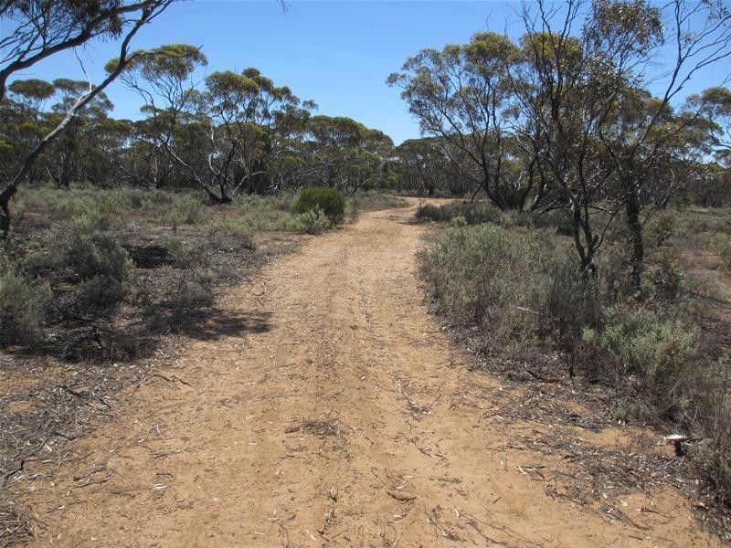 Section 47 Sleeper Track Road, Swan Reach SA 5354