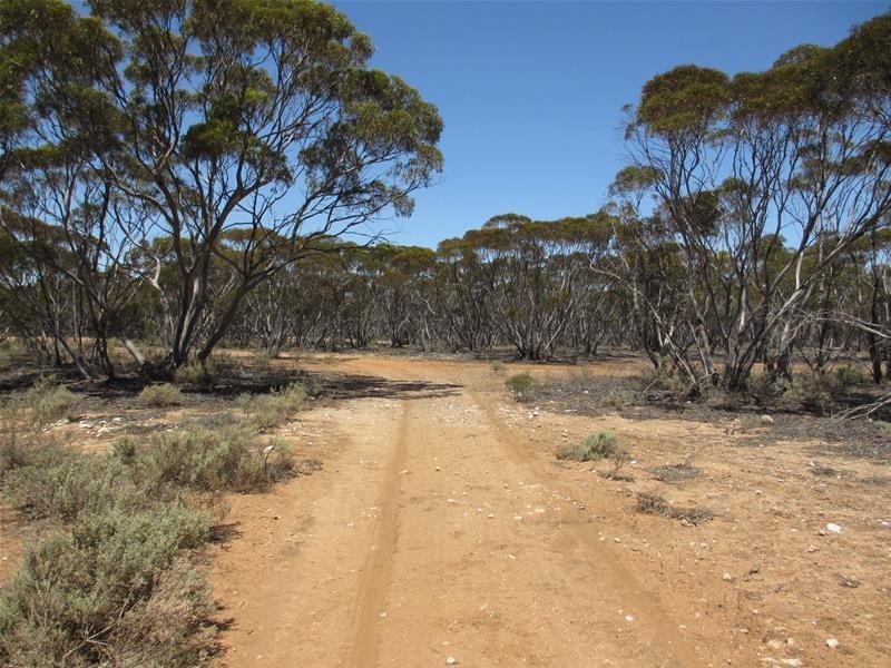 Section 47 Sleeper Track Road, Swan Reach SA 5354