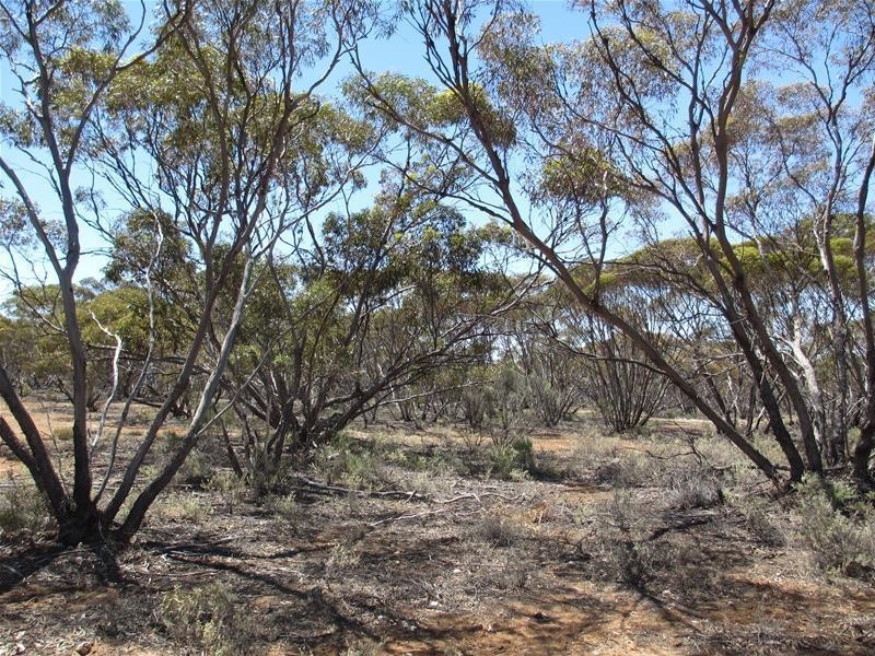 Section 47 Sleeper Track Road, Swan Reach SA 5354