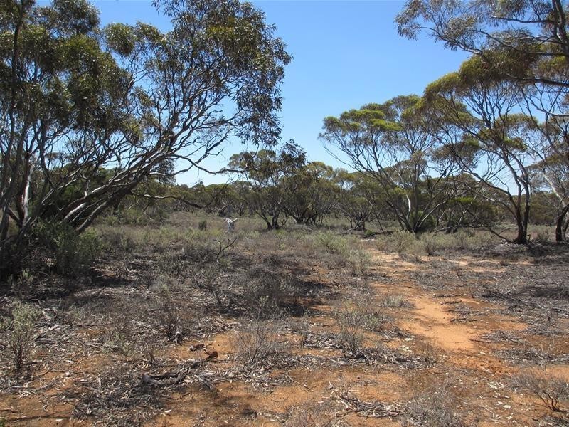 Section 47 Sleeper Track Road, Swan Reach SA 5354