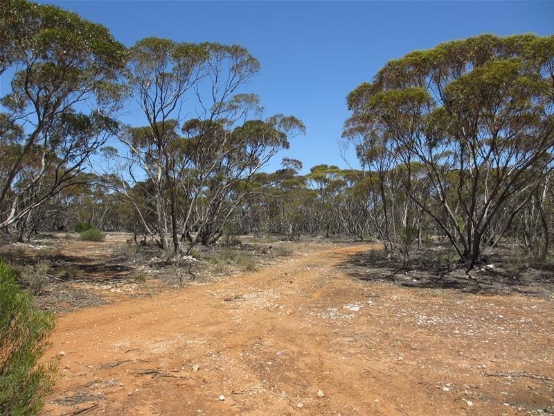 Section 47 Sleeper Track Road, Swan Reach SA 5354