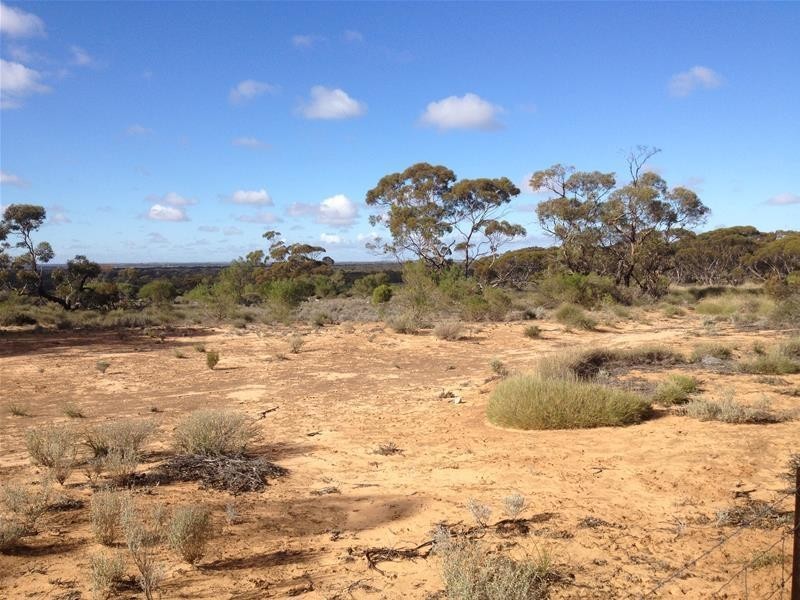 Section 47 Sleeper Track Road, Swan Reach SA 5354