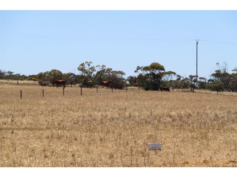 35 Bakehouse Road, Mypolonga SA 5254