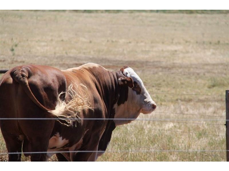 35 Bakehouse Road, Mypolonga SA 5254