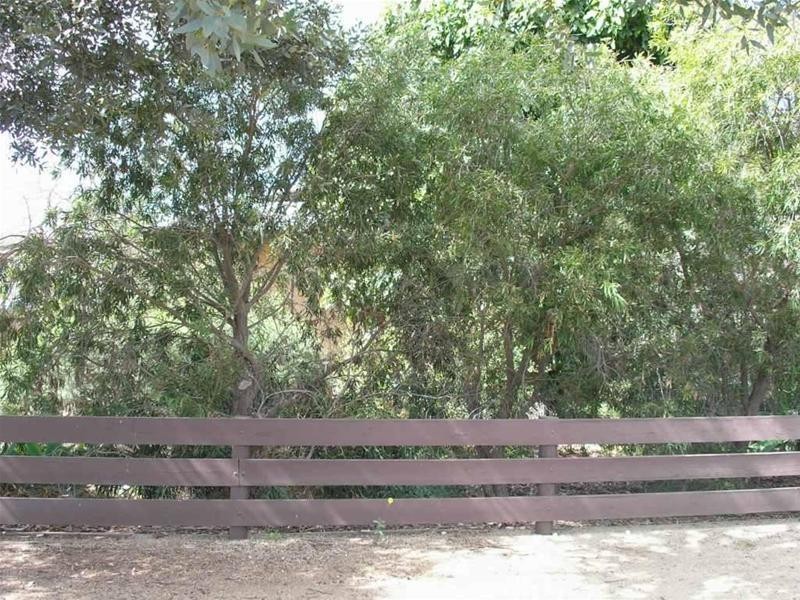 10 Berryman Avenue, Mannum SA 5238