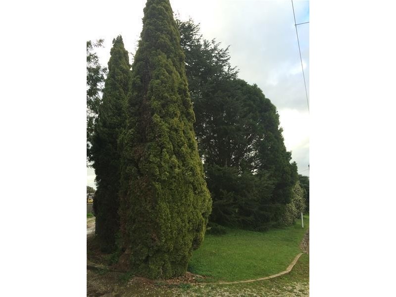 24 Lyndoch Valley Road, Lyndoch SA 5351