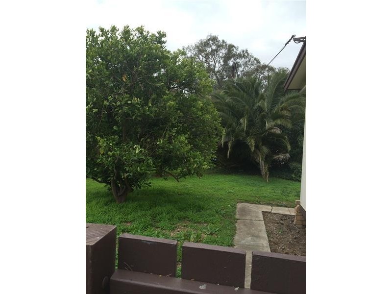 24 Lyndoch Valley Road, Lyndoch SA 5351