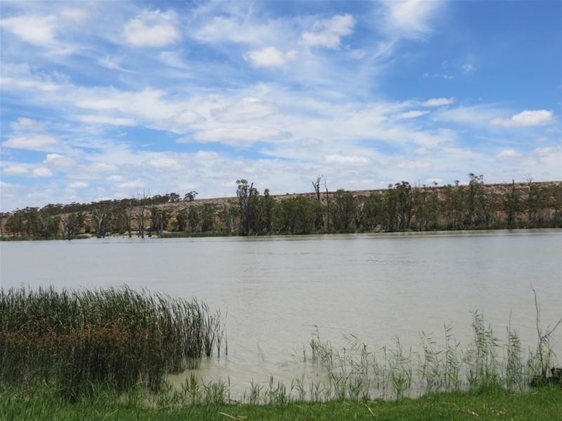 50 River Drive PAISLEY via, Blanchetown SA 5357