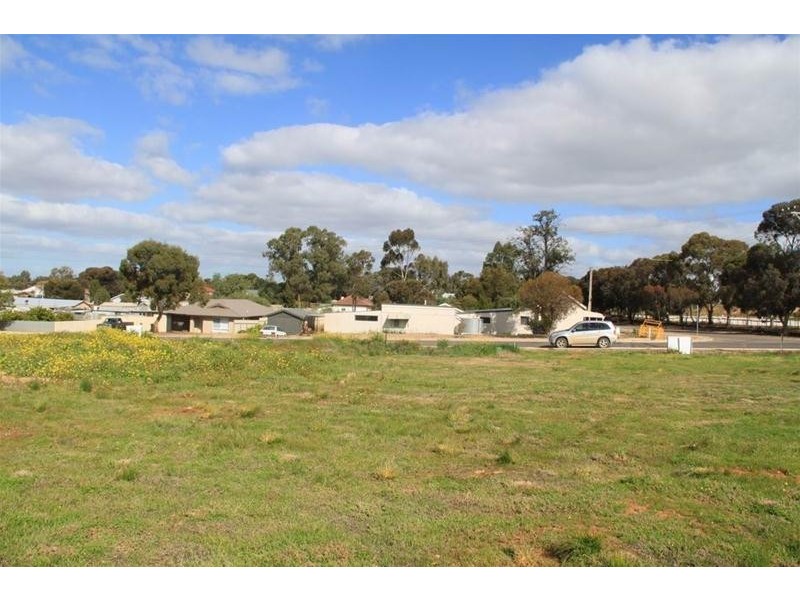 29 North Terrace, Mannum SA 5238