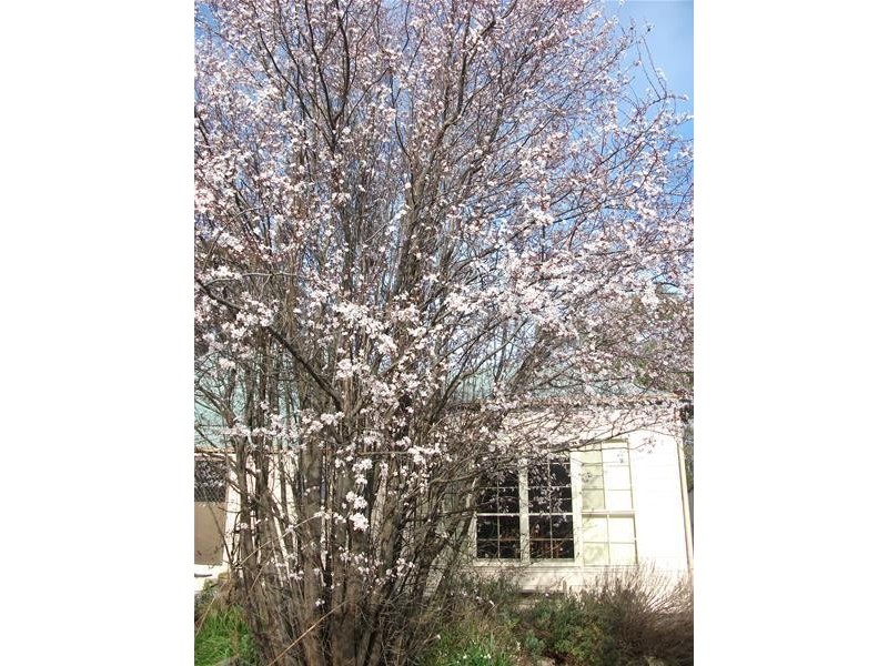 9 Olivedale Street, Birdwood SA 5234