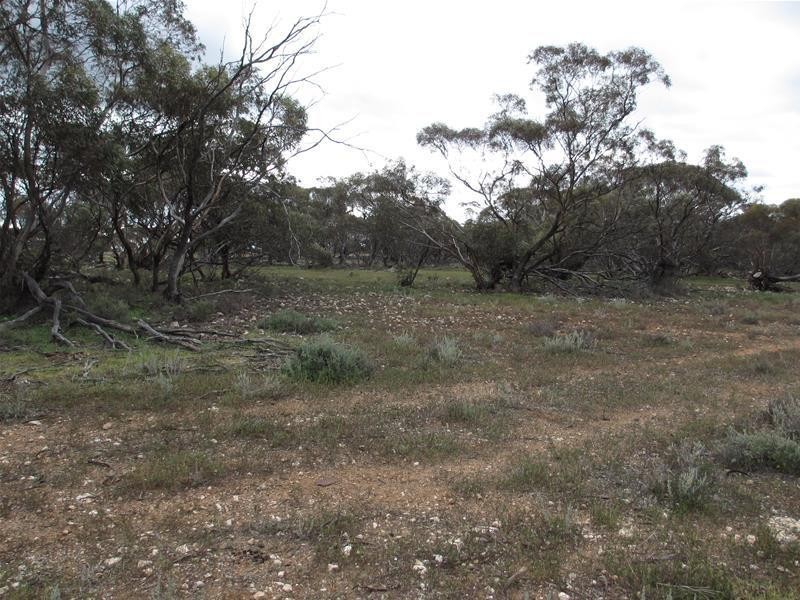 Sec 157 & 173 Schroeder & Strauss Roads, Black Hill SA 5353