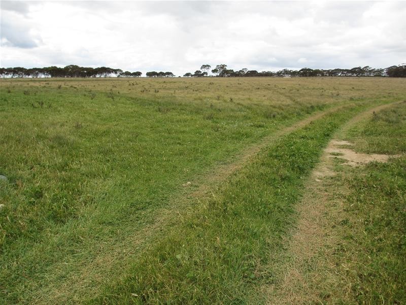 Sec 157 & 173 Schroeder & Strauss Roads, Black Hill SA 5353