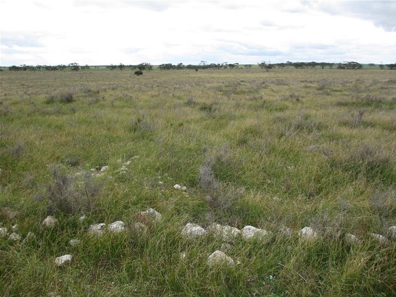 Sec 157 & 173 Schroeder & Strauss Roads, Black Hill SA 5353