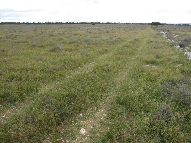 Sec 157 & 173 Schroeder & Strauss Roads, Black Hill SA 5353