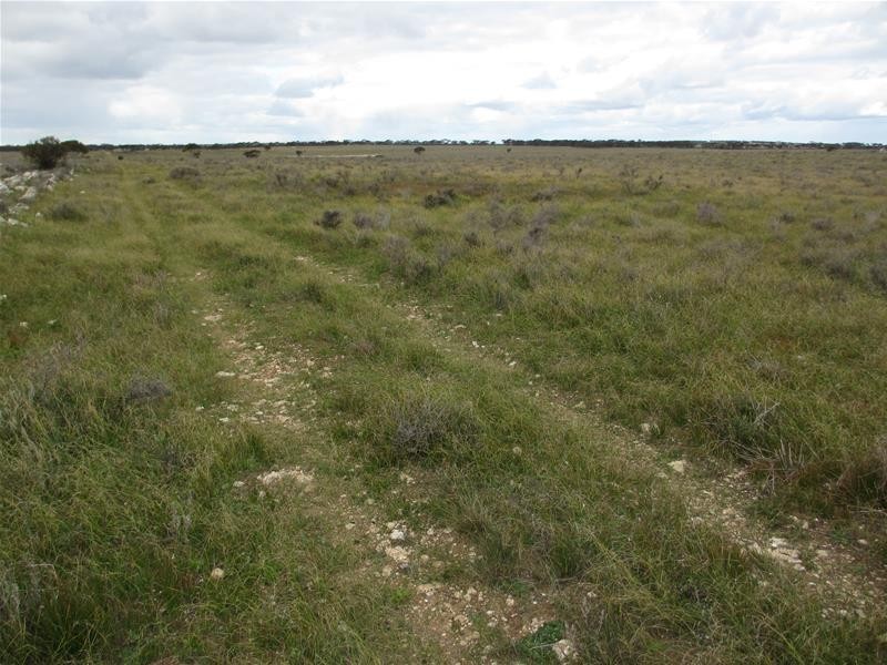 Sec 157 & 173 Schroeder & Strauss Roads, Black Hill SA 5353