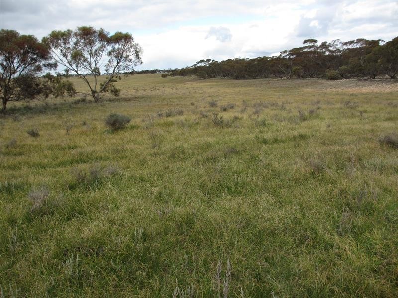 Sec 157 & 173 Schroeder & Strauss Roads, Black Hill SA 5353