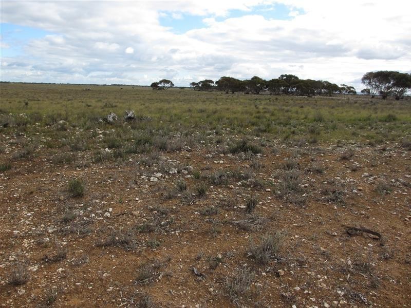 Sec 157 & 173 Schroeder & Strauss Roads, Black Hill SA 5353