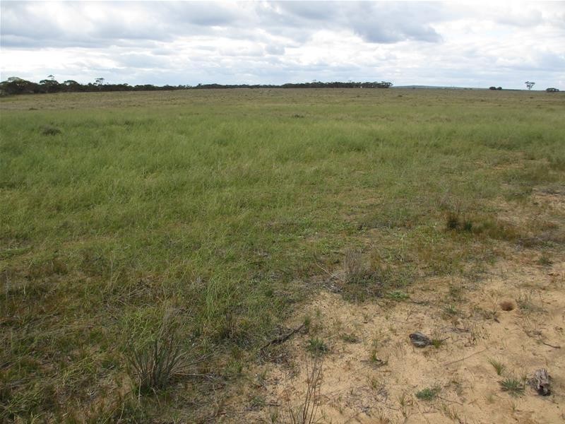 Sec 157 & 173 Schroeder & Strauss Roads, Black Hill SA 5353