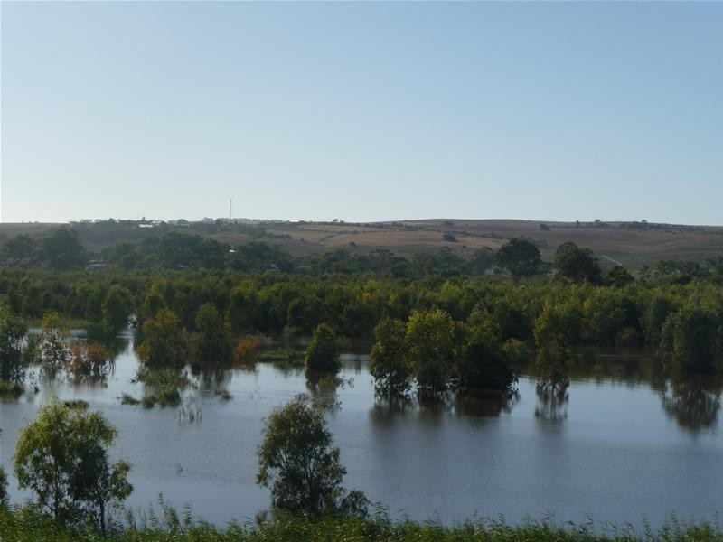 4 Purnong Road, Mannum SA 5238