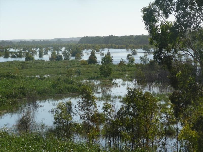 4 Purnong Road, Mannum SA 5238