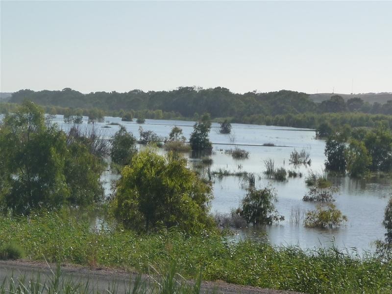 4 Purnong Road, Mannum SA 5238