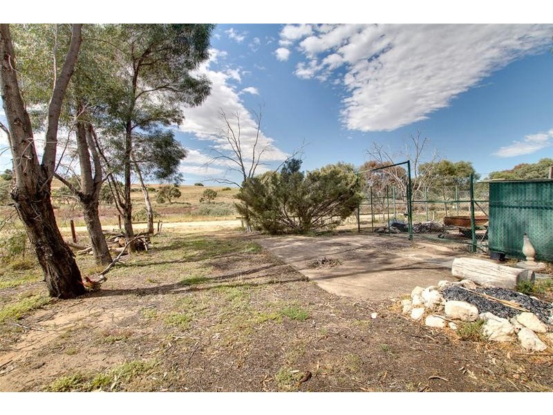 29 Porter Street COWIRRA via, Mannum SA 5238