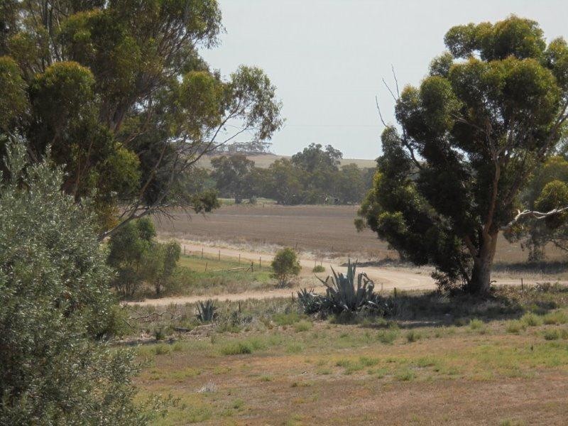 78 D Schirmer Road, Cambrai SA 5353