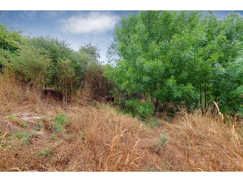 53 Melrose Street, Mount Pleasant SA 5235