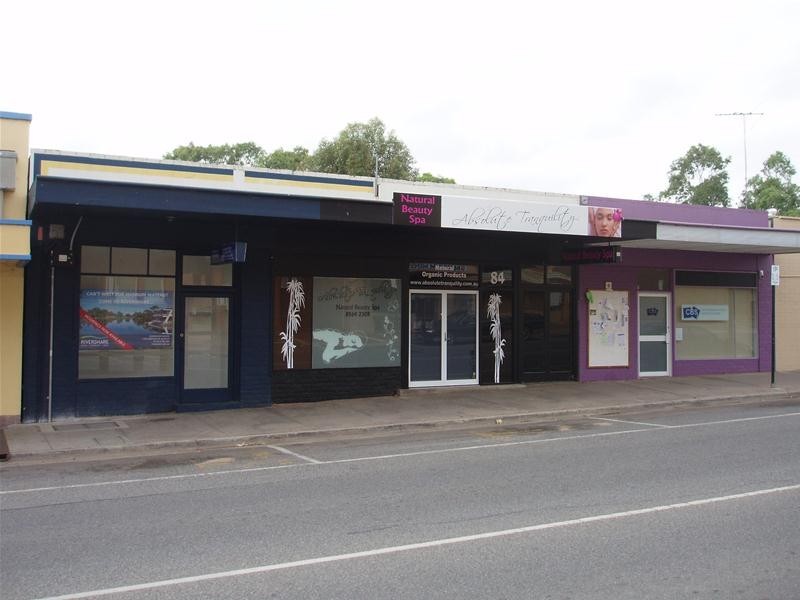 84 Randell Street, Mannum SA 5238