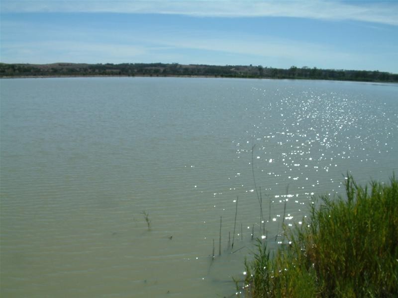 71 East Front Road, Younghusband SA 5238