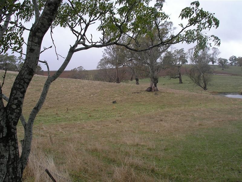 112 Norsworthy Road, Forreston SA 5233