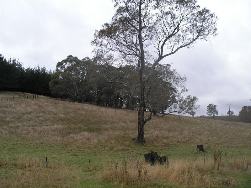 112 Norsworthy Road, Forreston SA 5233