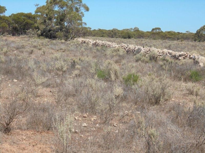 430 Frost Road SANDLETON via, Sedan SA 5353