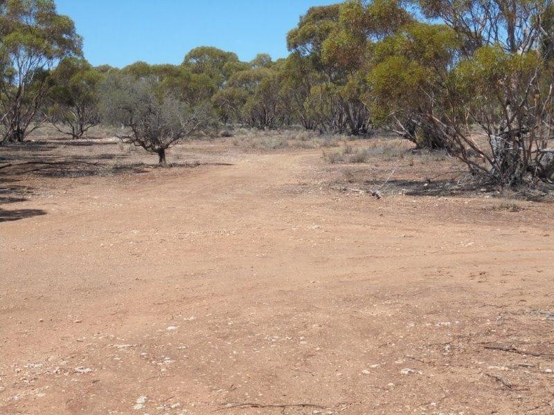 430 Frost Road SANDLETON via, Sedan SA 5353