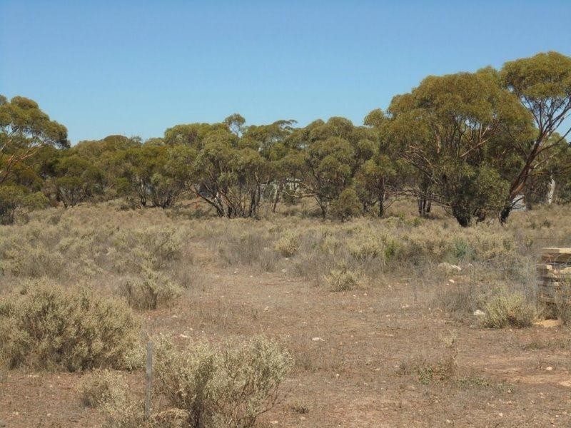 430 Frost Road SANDLETON via, Sedan SA 5353