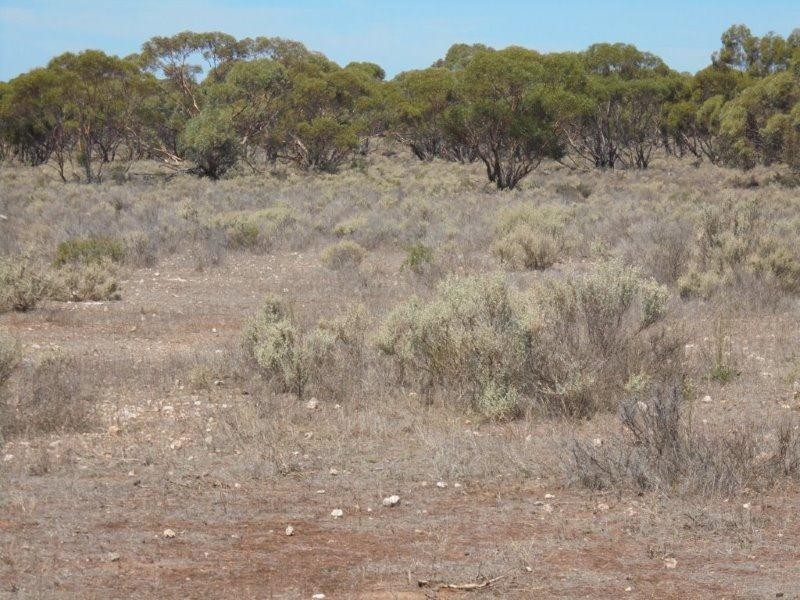 430 Frost Road SANDLETON via, Sedan SA 5353