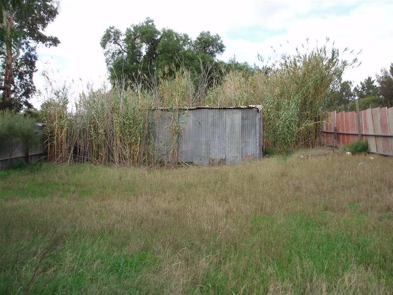 58 Anzac Avenue, Swan Reach SA 5354