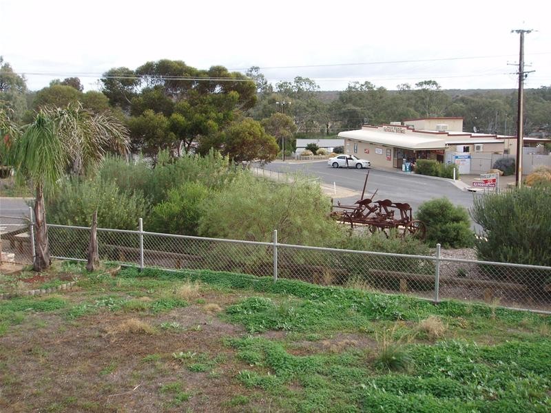 58 Anzac Avenue, Swan Reach SA 5354