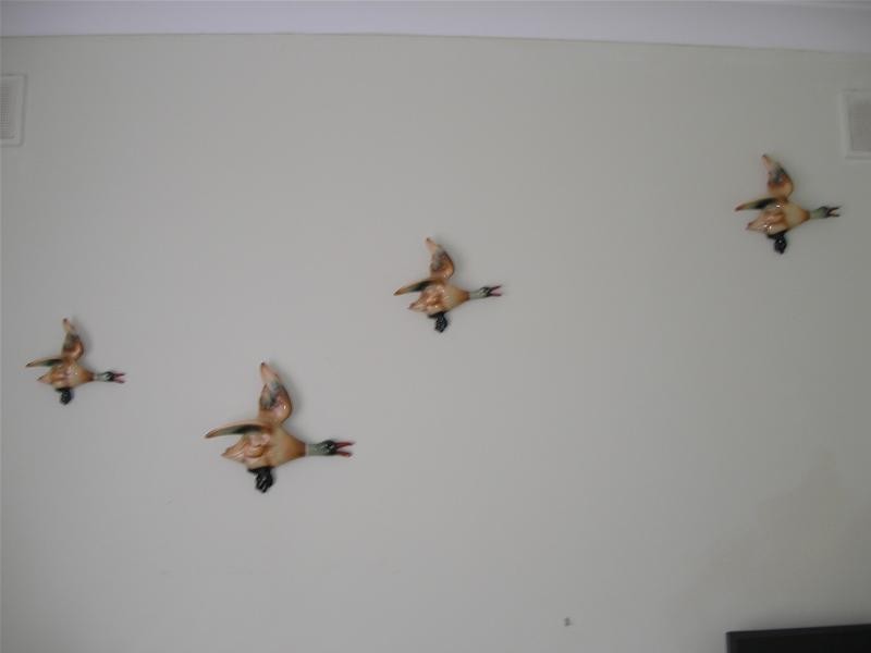 32 Crawford Crescent, Mannum SA 5238