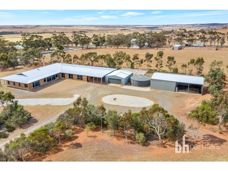 2919 Reedy Creek Road, Palmer SA 5237