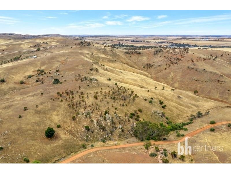 2919 Reedy Creek Road, Palmer SA 5237