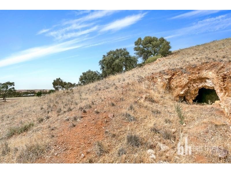 2919 Reedy Creek Road, Palmer SA 5237